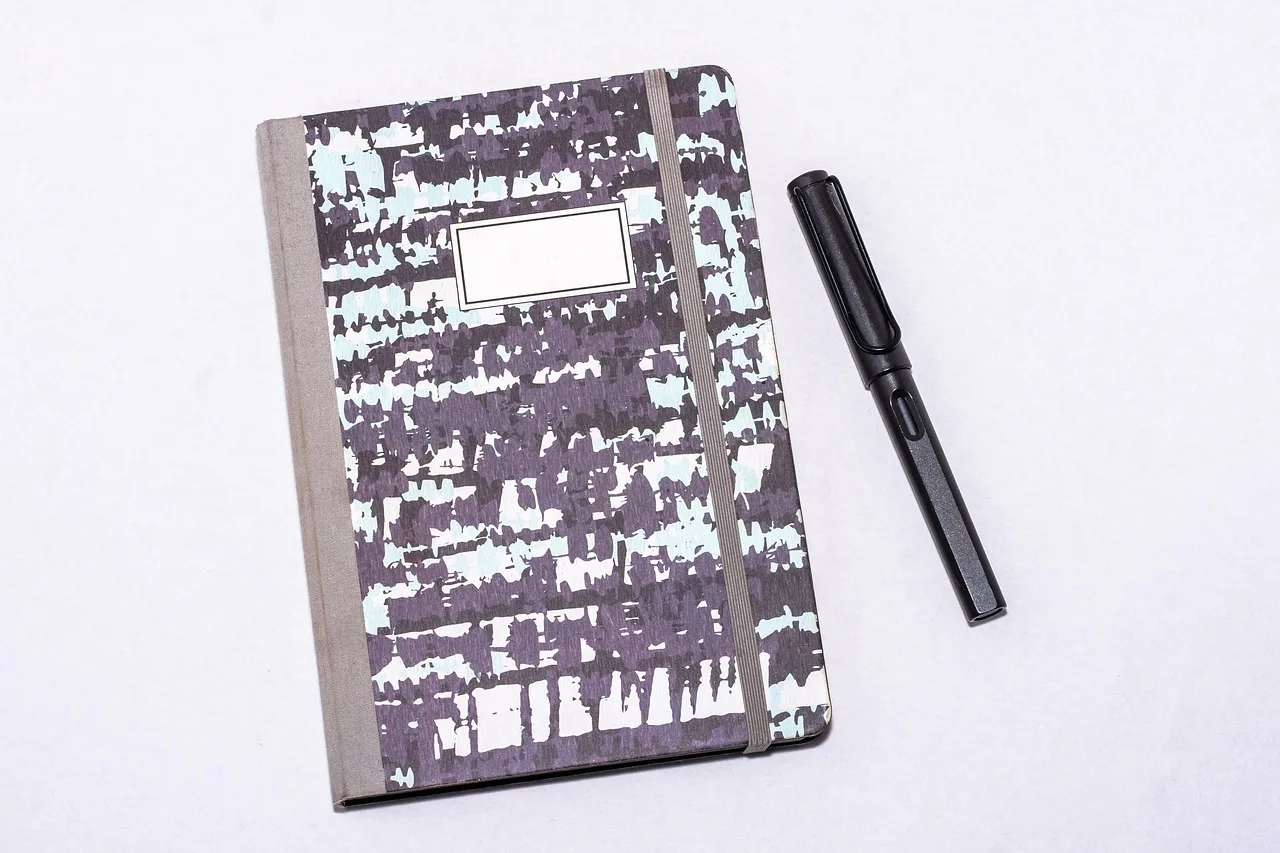 note, notebook, ink pen, writing tool, diary, write, write down, enter, a book, booklet, pen, black, notes, schreiber, closed notebook, fountain pen, lamy, school, to learn, office, to study. Fountain pens setup: fitting everything onto one shelf