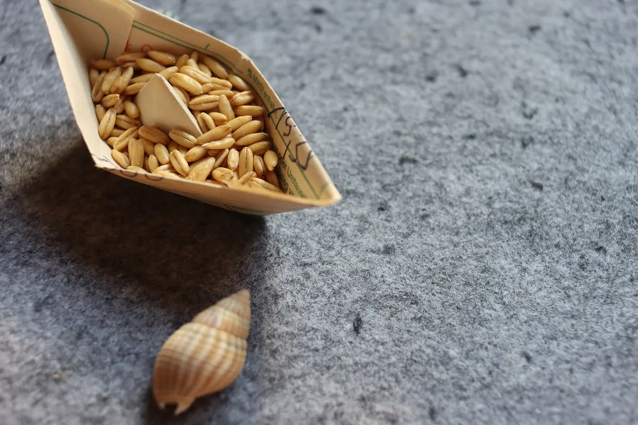 boat, grain, seashell, origami, vessel, blue, paper boat, symbolism, idea, gray, creativity, saving, maritime, ecology, parcel, handicraft, packaging, costs, conceptual, transport. Seven small paper experiments that each teach one lesson