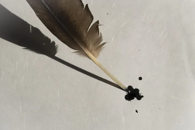 bird feather, feather, paper, parchment, handmade paper, structure of the paper, stationery, write, letter, ink, pen, antique, writing implement, writing tool, communication, communicate, inkblot, blob, drops, embroidery, splash, parchment, parchment, parchment, parchment, parchment, letter, inkblot, inkblot. Stationery projects: six ways to build one skill at a time